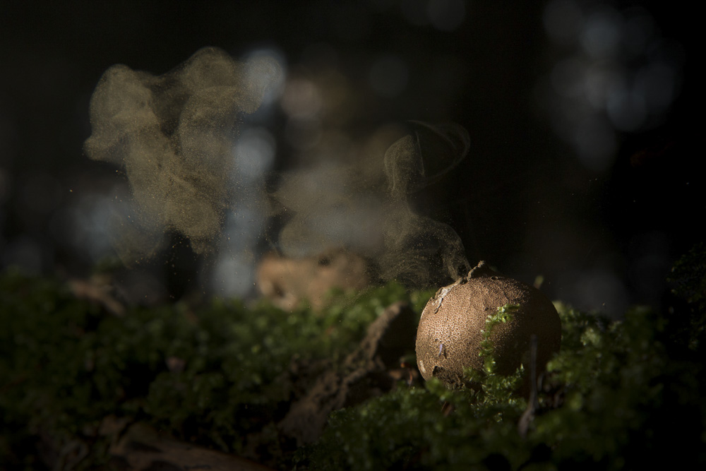 3. Platz Marcus Jakscha